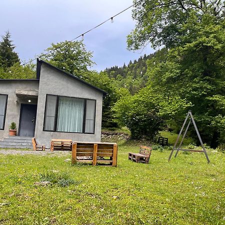 Cozy House In The Forest Borjomi Exteriör bild