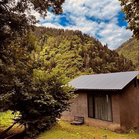 Cozy House In The Forest Borjomi Exteriör bild