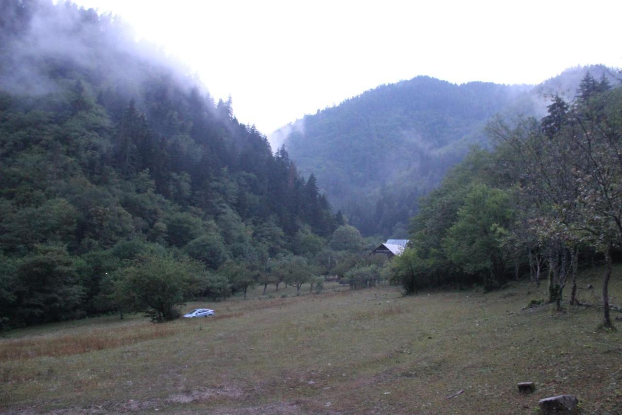 Cozy House In The Forest Borjomi Exteriör bild