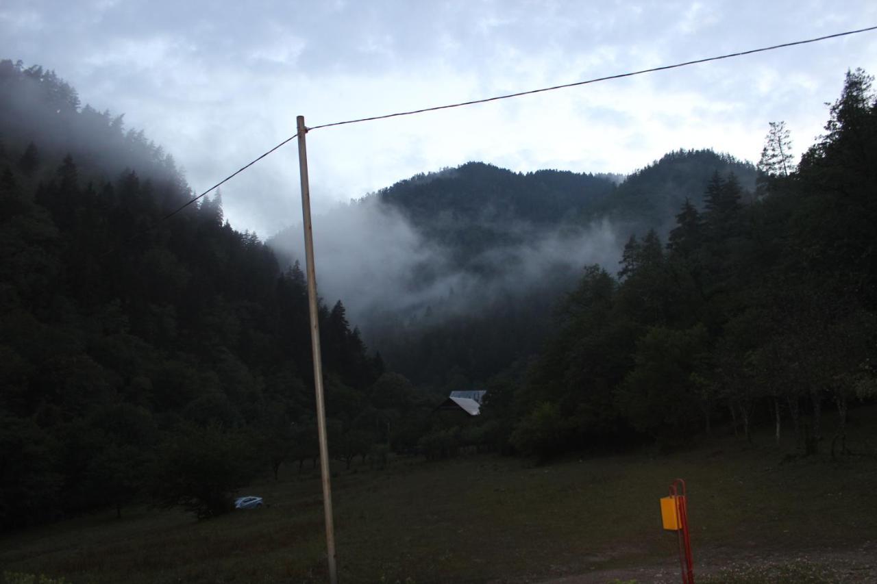 Cozy House In The Forest Borjomi Exteriör bild