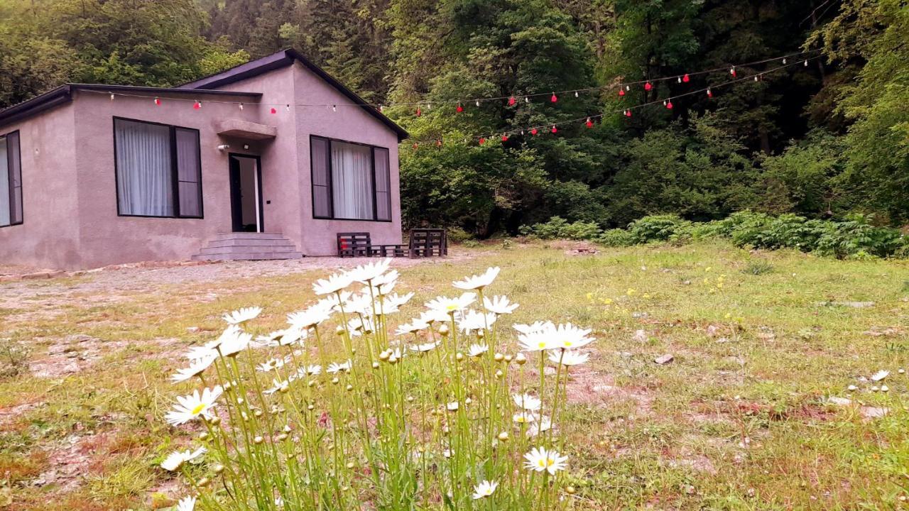 Cozy House In The Forest Borjomi Exteriör bild