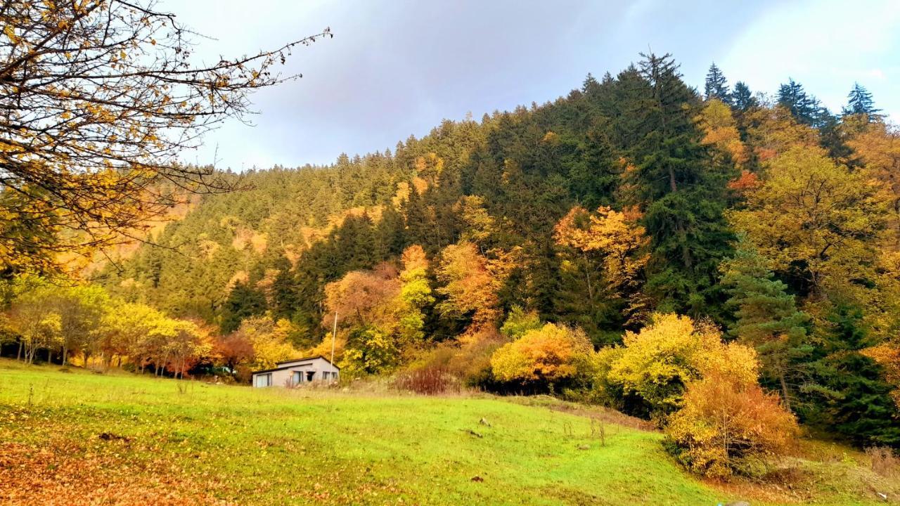 Cozy House In The Forest Borjomi Exteriör bild