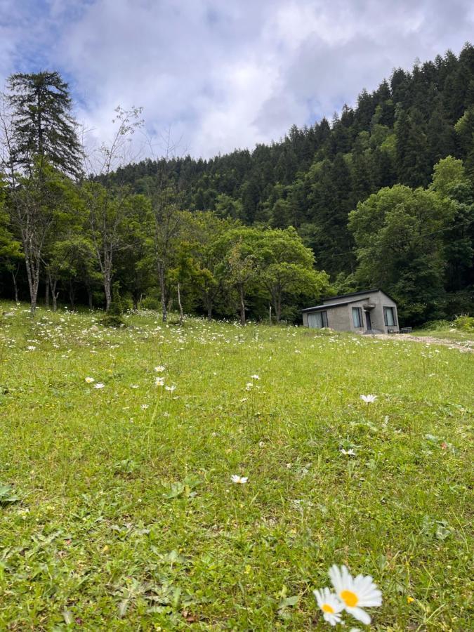 Cozy House In The Forest Borjomi Exteriör bild