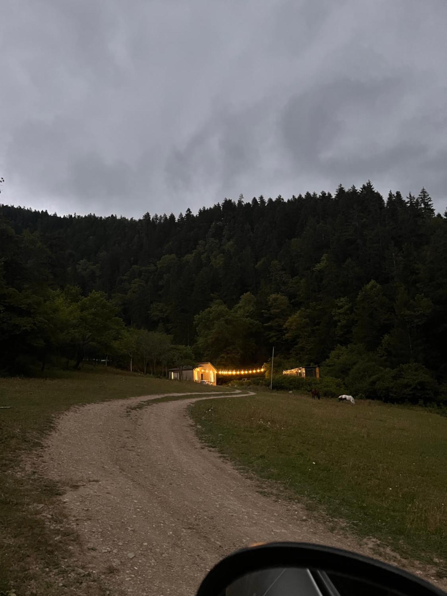 Cozy House In The Forest Borjomi Exteriör bild