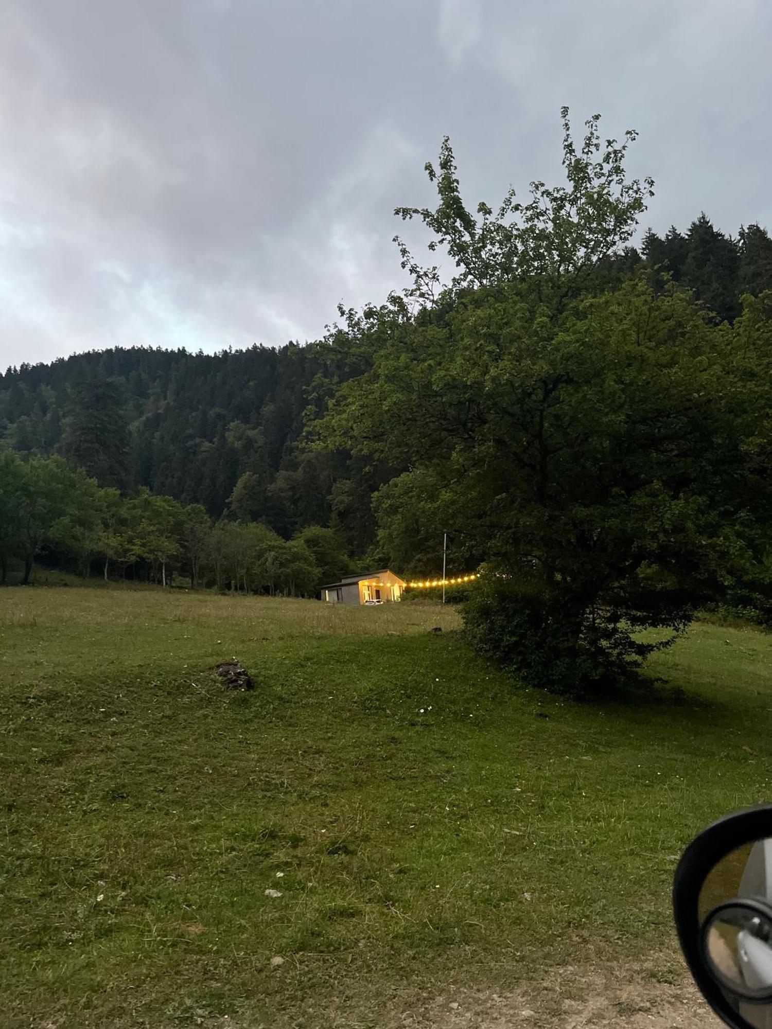Cozy House In The Forest Borjomi Exteriör bild