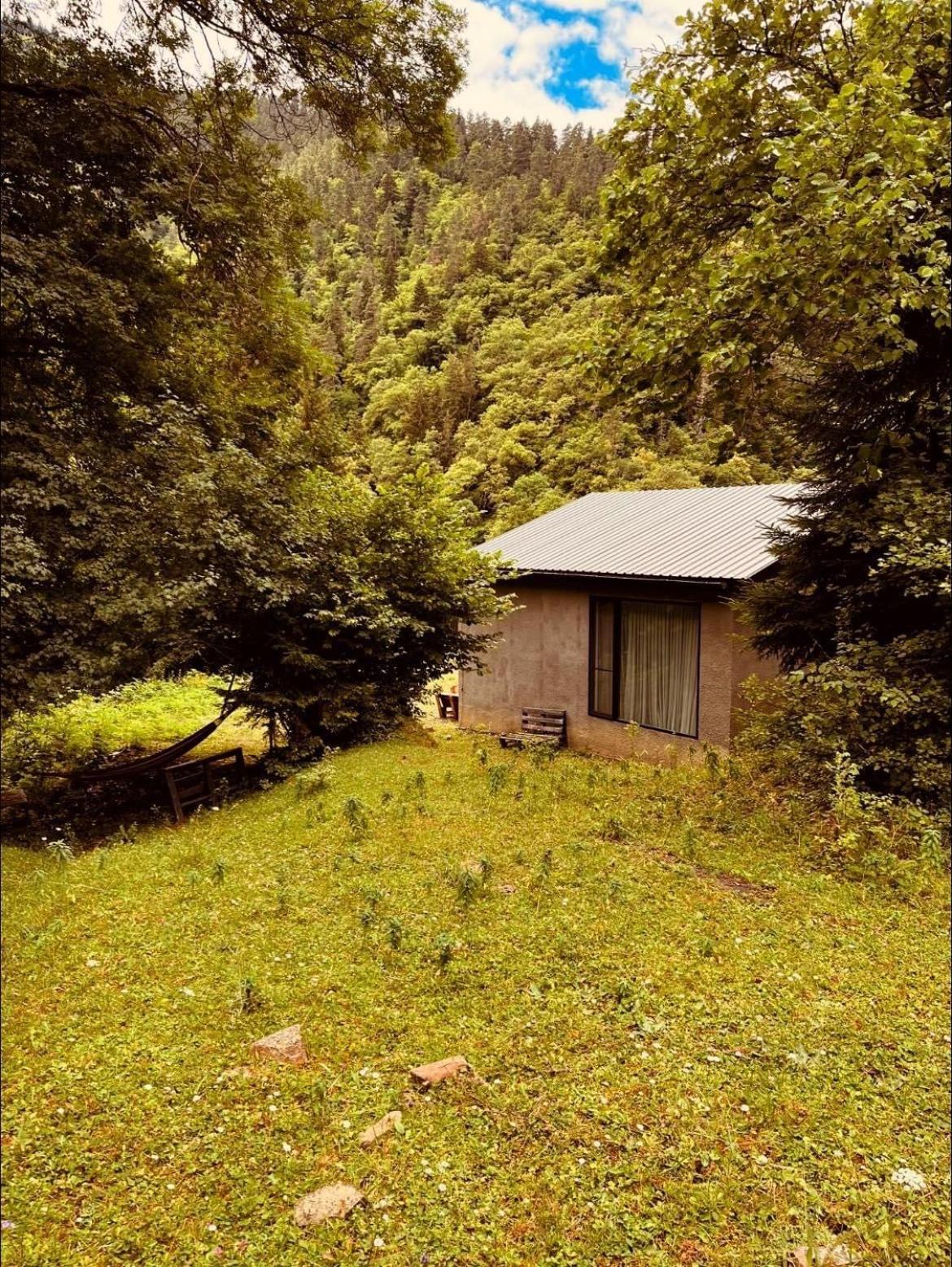 Cozy House In The Forest Borjomi Exteriör bild