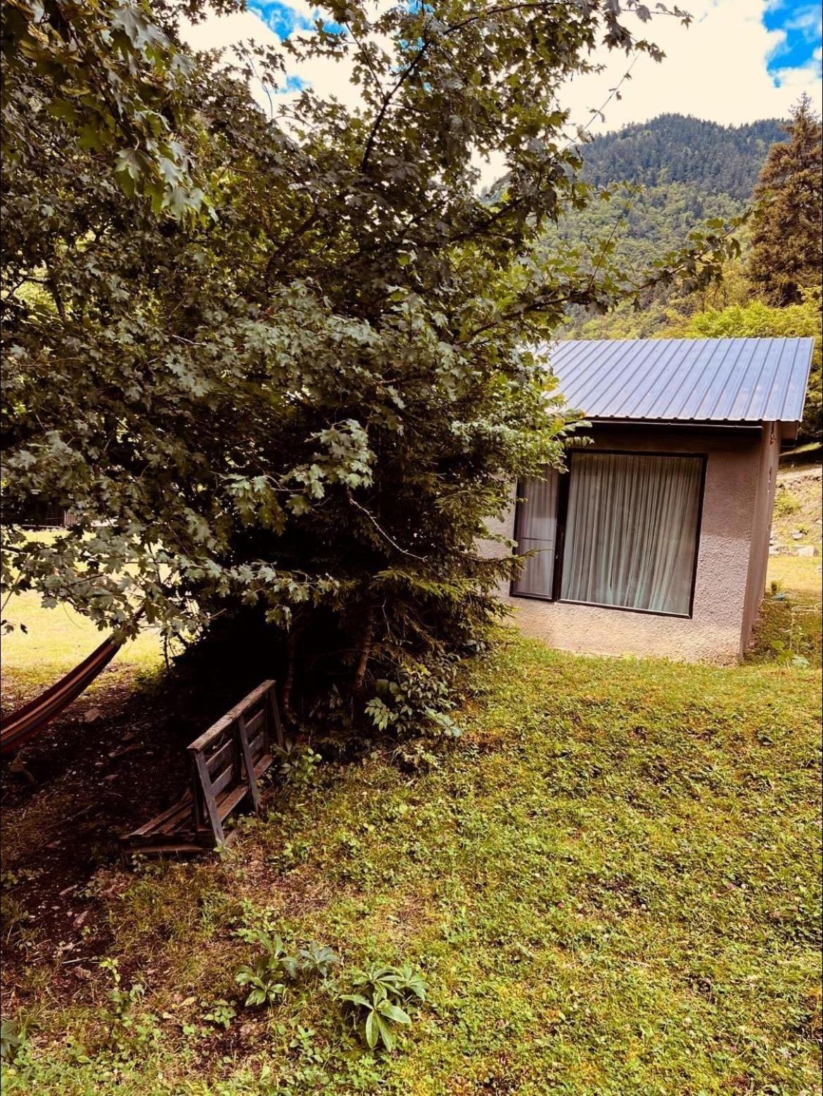 Cozy House In The Forest Borjomi Exteriör bild